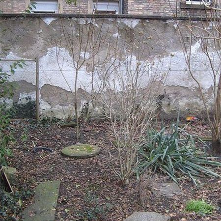 Hinterhof- und Dachbegrünungen