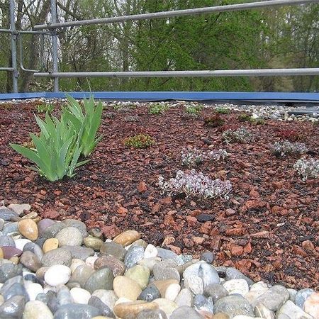 Hinterhof- und Dachbegrünungen