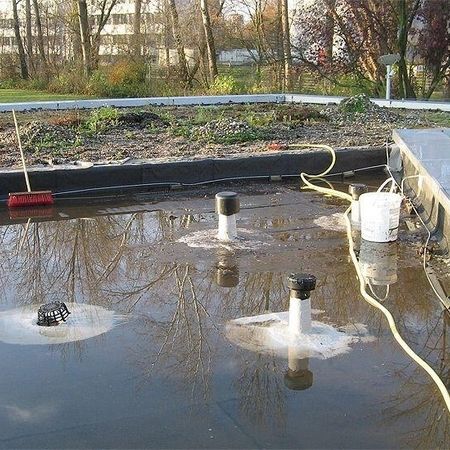 Hinterhof- und Dachbegrünungen