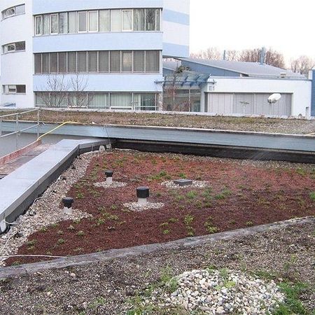 Hinterhof- und Dachbegrünungen