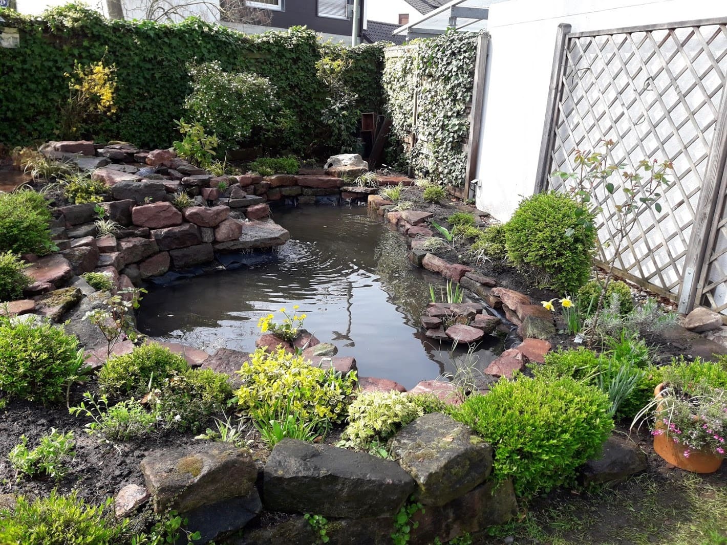 Gartenteich mit Bepflanzung