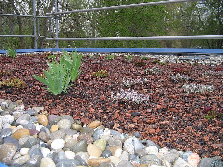 Dachbepflanzung ausgefüllt mit Steinen
