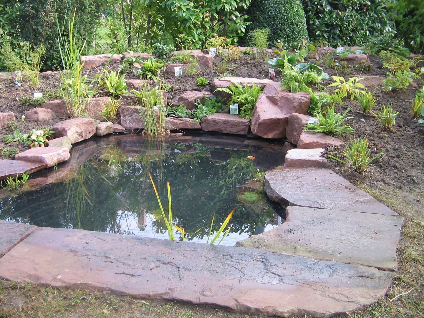 Schwimmteich mit Bepflanzung